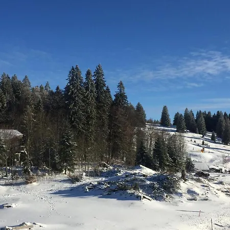 Kuschelnest - Residenz Grafenmatt - Mein Swh * Feldberg (Baden-Wurttemberg)