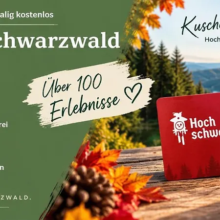 Kuschelnest - Residenz Grafenmatt - Mein Swh