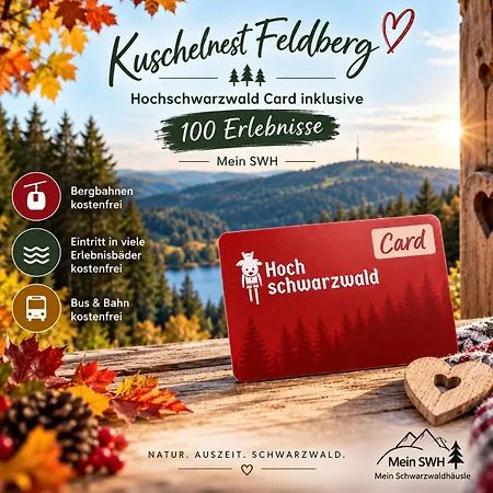 Kuschelnest - Residenz Grafenmatt - Mein Swh Lejlighed Feldberg (Baden-Wurttemberg)